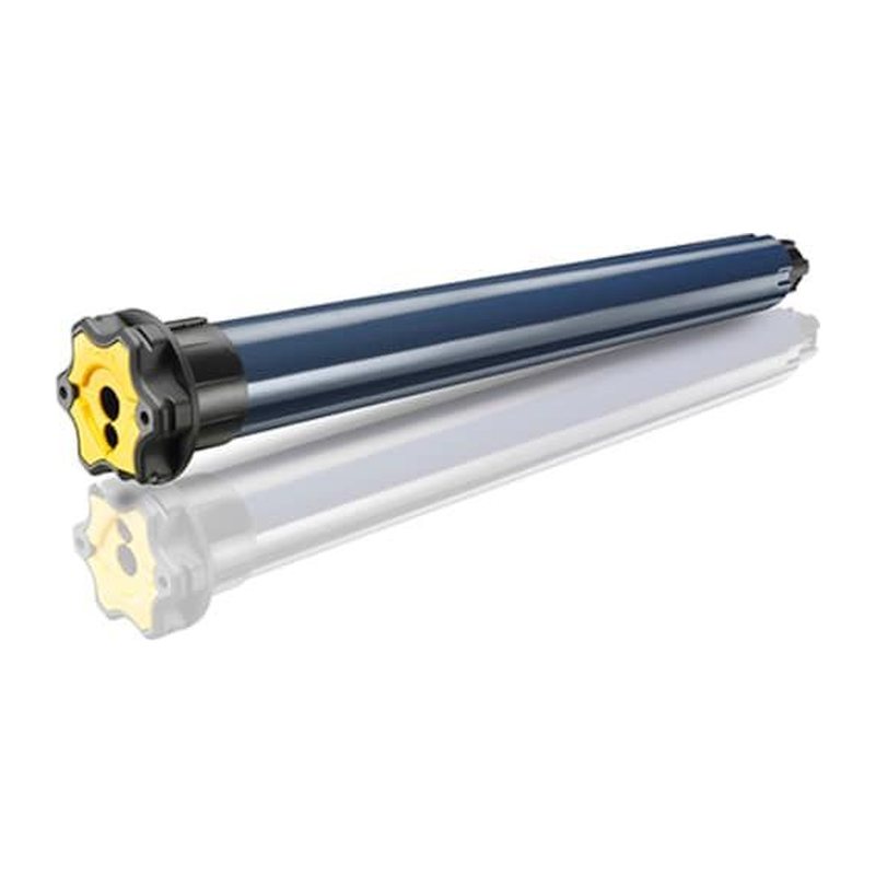 RS100 io Somfy